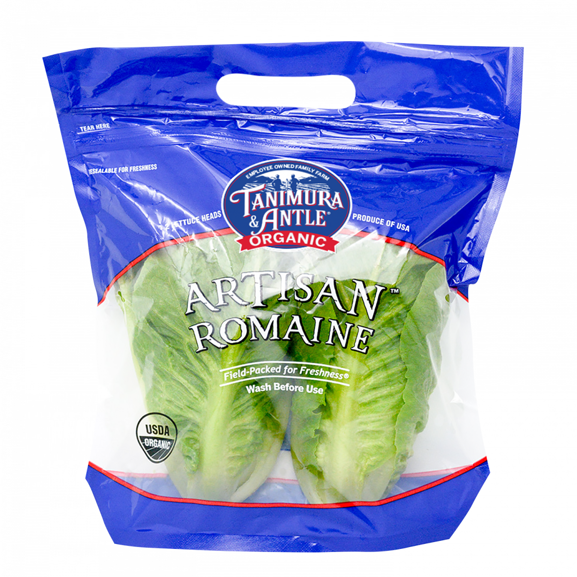 artisan lettuce